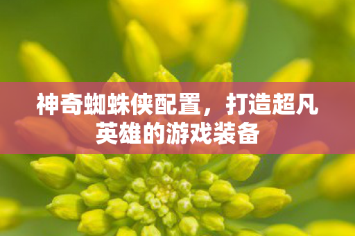 神奇蜘蛛侠配置，打造超凡英雄的游戏装备