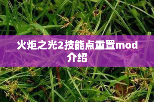 火炬之光2技能点重置mod介绍 火炬之光2技能点重置mod介绍