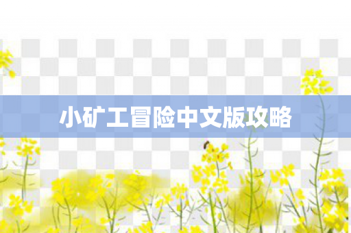 小矿工冒险中文版攻略