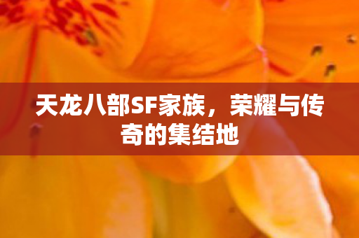 天龙八部SF家族，荣耀与传奇的集结地