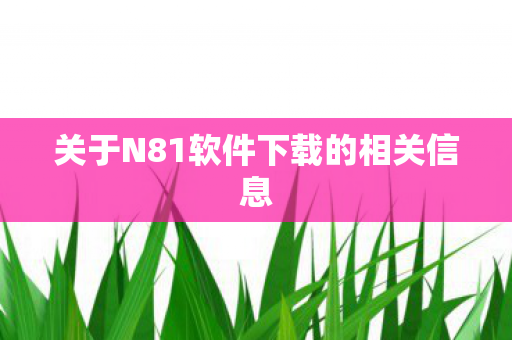关于N81软件下载的相关信息
