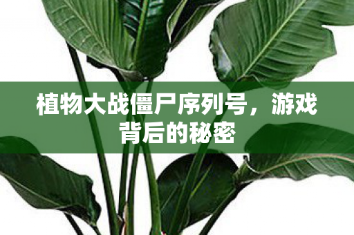 植物大战僵尸序列号，游戏背后的秘密