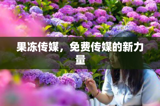 果冻传媒，免费传媒的新力量