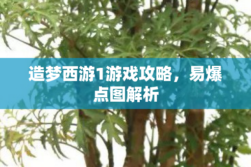 造梦西游1游戏攻略，易爆点图解析