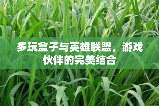 多玩盒子与英雄联盟,游戏伙伴的完美结合 多玩盒子与英雄联盟,游戏伙伴的完美结合