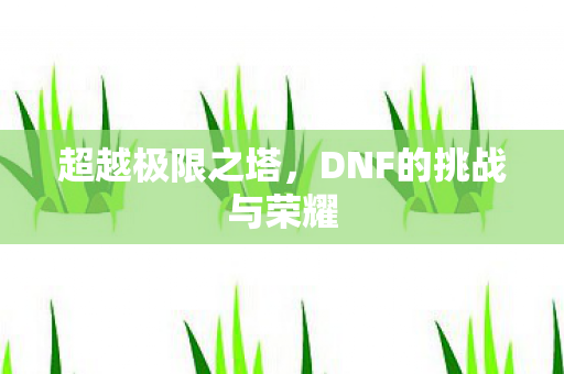 超越极限之塔，DNF的挑战与荣耀