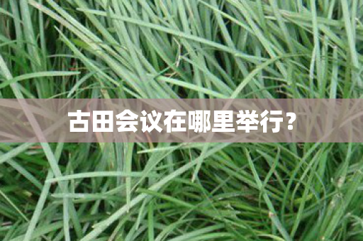 古田会议在哪里举行？