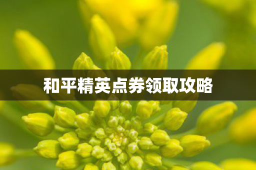和平精英点券领取攻略