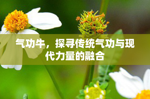 气功牛，探寻传统气功与现代力量的融合