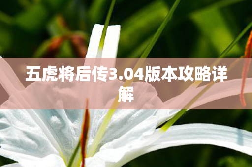 五虎将后传3.04版本攻略详解