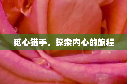 觅心猎手，探索内心的旅程