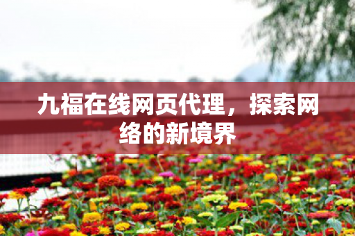 九福在线网页代理，探索网络的新境界