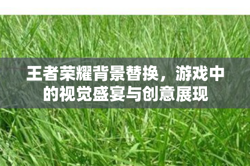 王者荣耀背景替换，游戏中的视觉盛宴与创意展现