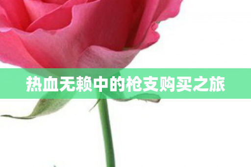 热血无赖中的枪支购买之旅