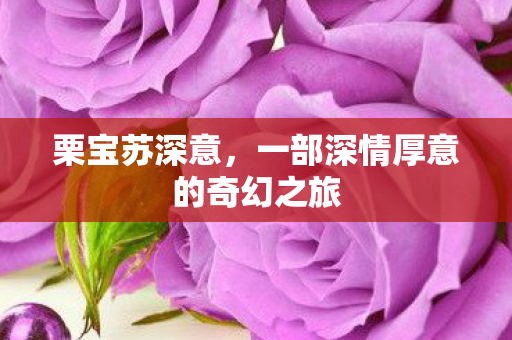 栗宝苏深意，一部深情厚意的奇幻之旅