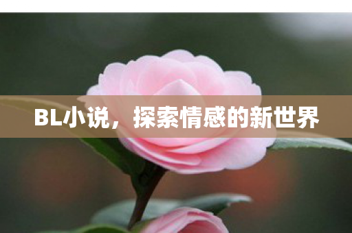 BL小说，探索情感的新世界