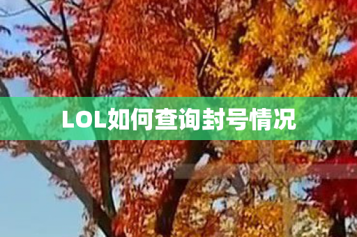 LOL如何查询封号情况