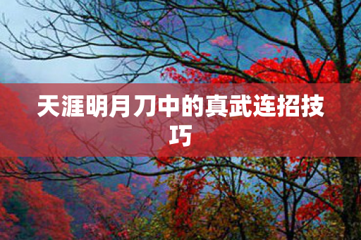 天涯明月刀中的真武连招技巧