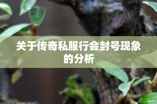 关于传奇私服行会封号现象的分析
