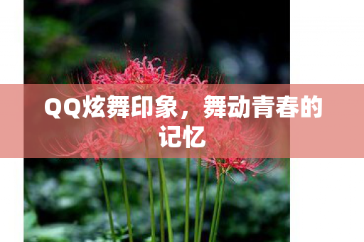 QQ炫舞印象，舞动青春的记忆