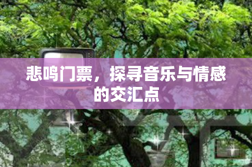 悲鸣门票，探寻音乐与情感的交汇点