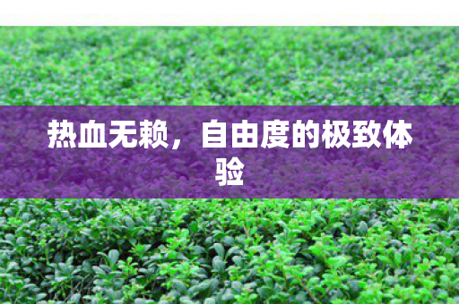 热血无赖，自由度的极致体验