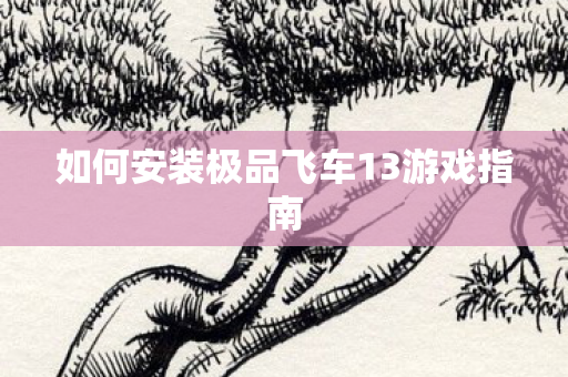 如何安装极品飞车13游戏指南