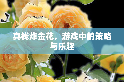 真钱炸金花，游戏中的策略与乐趣