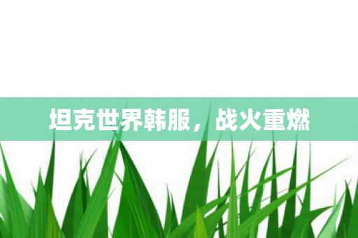 坦克世界韩服，战火重燃