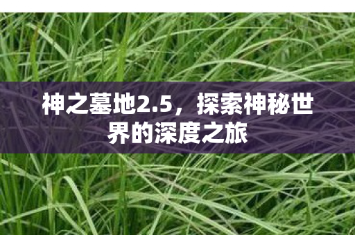 神之墓地2.5，探索神秘世界的深度之旅