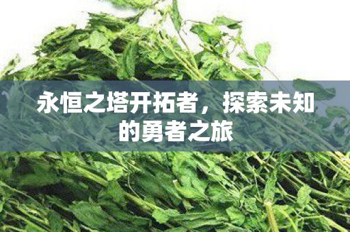 永恒之塔开拓者，探索未知的勇者之旅