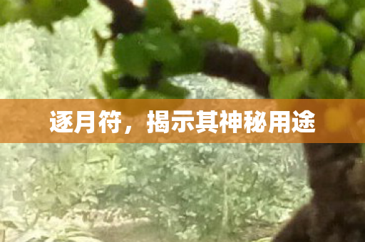 逐月符，揭示其神秘用途