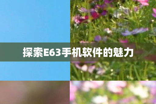 探索E63手机软件的魅力