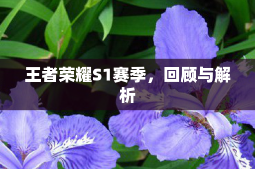 王者荣耀S1赛季，回顾与解析