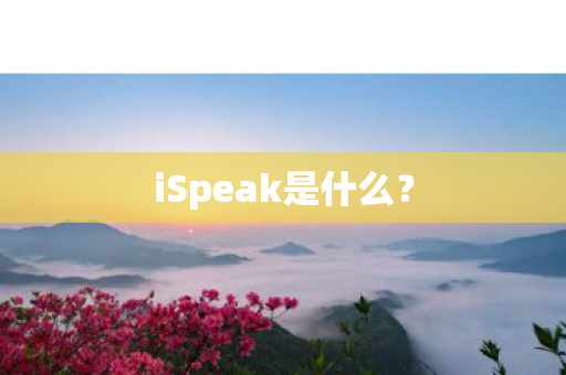 iSpeak是什么？