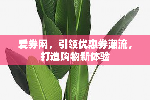 爱券网，引领优惠券潮流，打造购物新体验