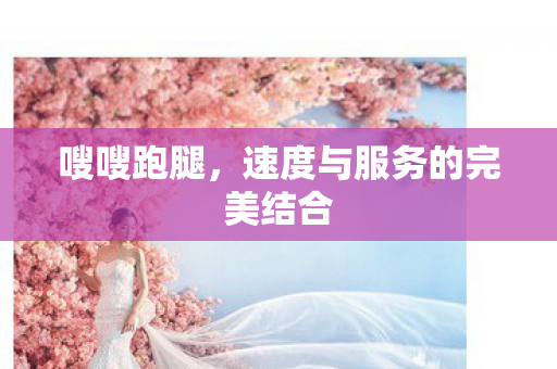 嗖嗖跑腿，速度与服务的完美结合