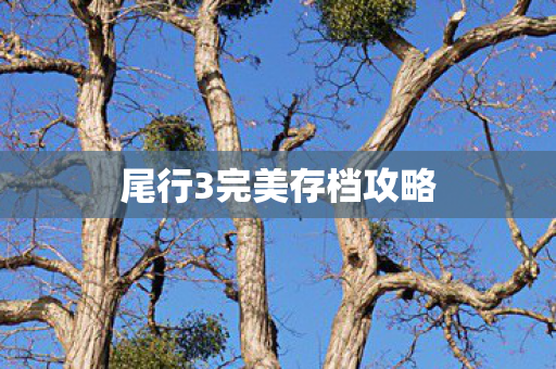 尾行3完美存档攻略