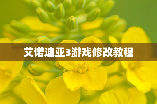 艾诺迪亚3游戏修改教程