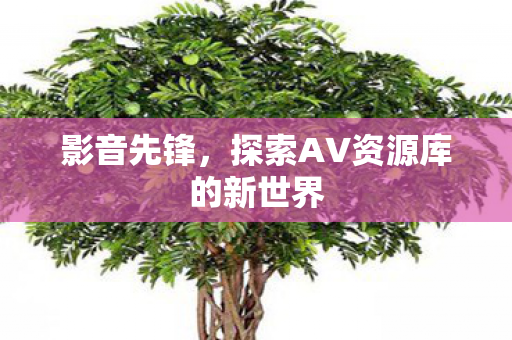 影音先锋，探索AV资源库的新世界