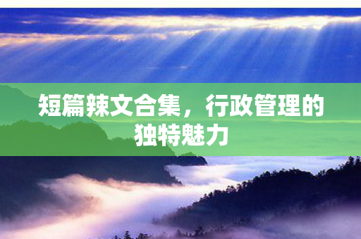 短篇辣文合集，行政管理的独特魅力