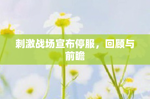 刺激战场宣布停服，回顾与前瞻