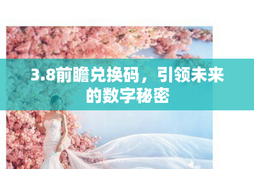 3.8前瞻兑换码，引领未来的数字秘密