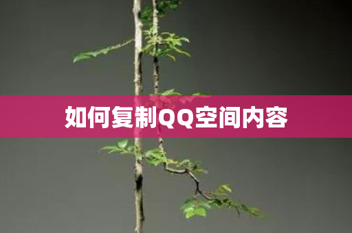 如何复制QQ空间内容