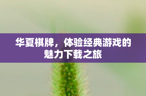 华夏棋牌,体验经典游戏的魅力下载之旅 华夏棋牌,体验经典游戏的魅力下载之旅
