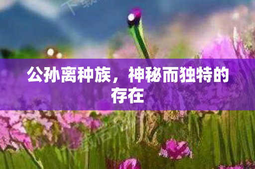 公孙离种族，神秘而独特的存在