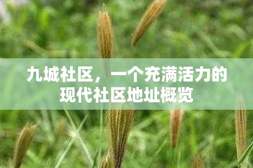 九城社区，一个充满活力的现代社区地址概览