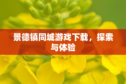 景德镇同城游戏下载，探索与体验