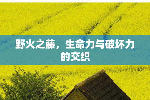野火之藤，生命力与破坏力的交织