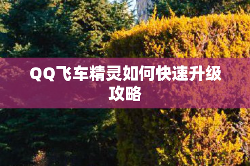 QQ飞车精灵如何快速升级攻略